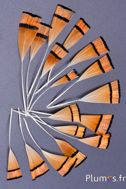 Verenblaadjes - 5-8 x 1-2 cm - oranje-zwart natuurlijk